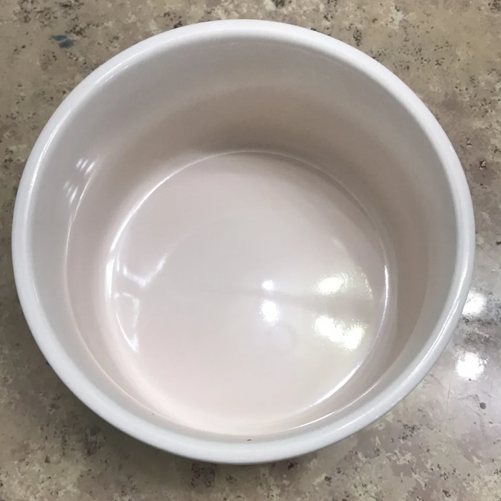 Rae Dunn salsa bowl - Picture 3 of 4
